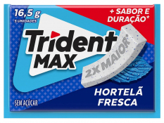 TRIDENT MAX HORTELA 16,5G